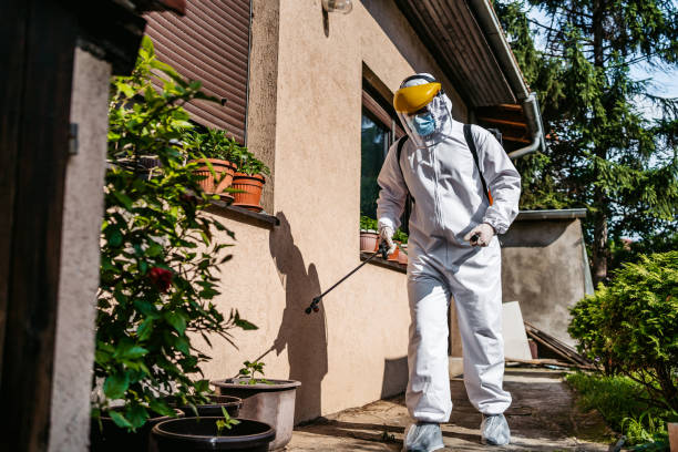 Professional Pest Control in Inwood, WV