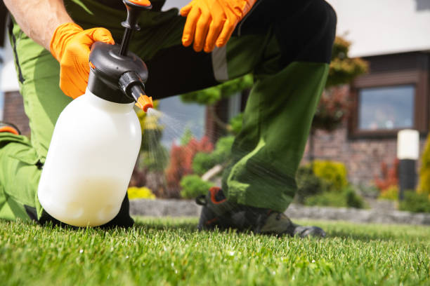 Best Best Pest Control Companies  in Inwood, WV
