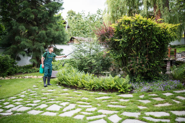Best Best Pest Control Companies  in Inwood, WV