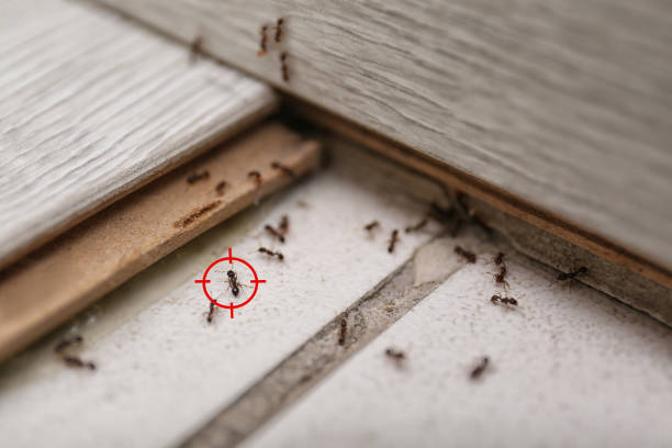 Pest Control Cost in Inwood, WV