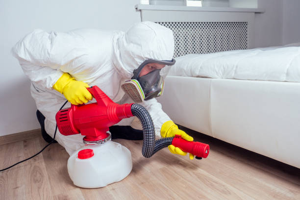 Best Local Pest Control Services  in Inwood, WV