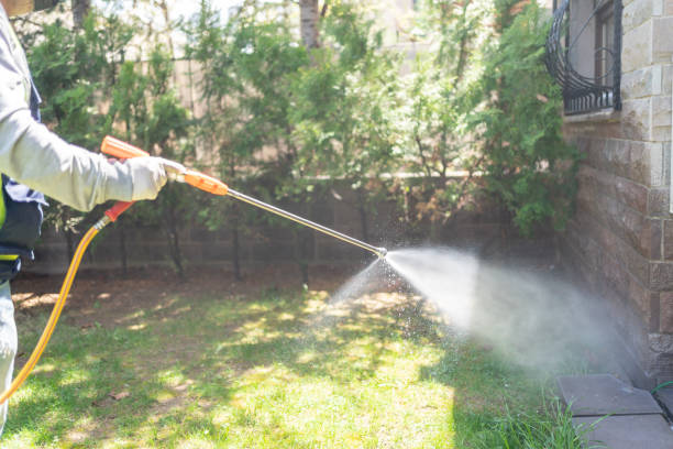 Best Affordable Pest Control Services  in Inwood, WV