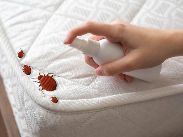 Best Mosquito Control Services  in Inwood, WV